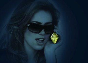 2008 h(hun)ݳƷ(bo) Global Luxury Report 
