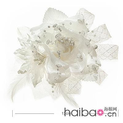 圖像 “http://www.mabellelife.com/mbl/images/product/large/B04753Y.jpg” 因其本身有錯(cuò)無(wú)法顯示。