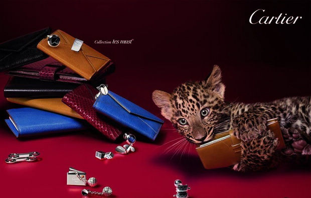Cartier؁T(j)ʥQY]