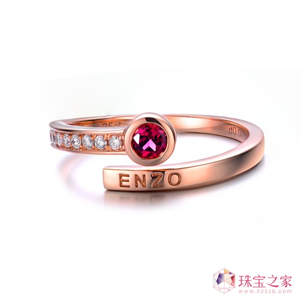 ENZO VAVAϵУD(zhun)ָgĂ(g)ԯB